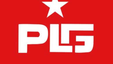 Photo of PRESS RELEASE – PLG SEEKS FOR NEW INDUSTRY ACQUISITION